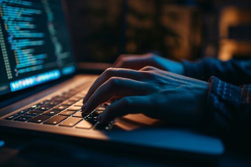 Web Development Services